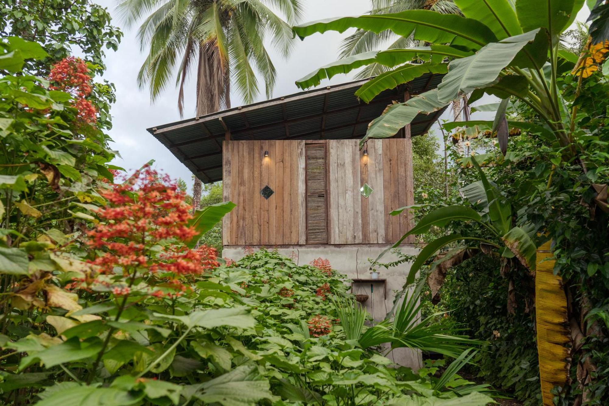Ecohotel Luzul Nuqui Exterior photo